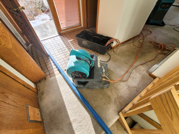 Trusted Water Damage Restoration in Colona, IL | Fast, Reliable, and Ready to Assist You